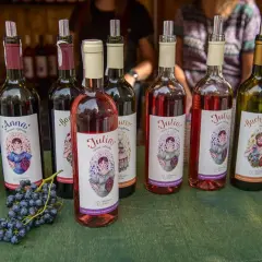 Gdzie kupić wino zielonogórskie? Odkryj najlepsze miejsca w regionie