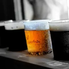 Degustacja piw: różnica między piwem górnej a dolnej fermentacji, przykłady stylów. Jasne i ciemne piwa w szklankach.