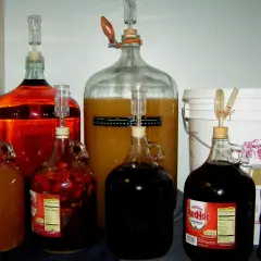 Wiele butli z płynami do fermentacji, w tym z owocami i sokiem winogronowym. Zastanawiasz się, ile cukru na litr wody do wina?