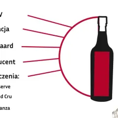 Jak rozpoznać wino z Nowego Świata a wino ze Starego Świata? Wskazówki: % ABV, apelacja, winnica, producent, oznaczenia (Reserve, Grand Cru, Crianza).