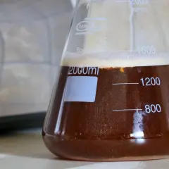 Aktywny starter drożdżowy w kolbie, gotowy do szybkiej fermentacji. Piana i bąbelki świadczą o jego żywotności.