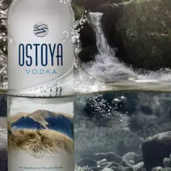 Jak smakuje wódka? Odkryj różnice w smakach i aromatach