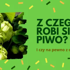 Z czego jest piwo? Odkryj składniki, które kształtują jego smak