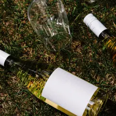 Dwie butelki wina i przewrócony kieliszek na trawie. Czy to wino organiczne, biodynamiczne czy naturalne?