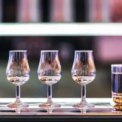 Degustacja wódek gatunkowych krok po kroku: trzy kieliszki degustacyjne i jeden szklany kieliszek z wodą.
