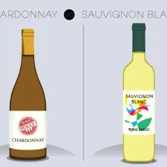 Ilustracja porównuje butelki Chardonnay i Sauvignon Blanc, podkreślając różnicę między szczepem Chardonnay a Sauvignon Blanc w aromacie.