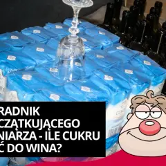 Ile cukru do wina? Odkryj idealne proporcje dla smaku i mocy