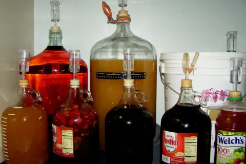Wiele butli z płynami do fermentacji, w tym z owocami i sokiem winogronowym. Zastanawiasz się, ile cukru na litr wody do wina?