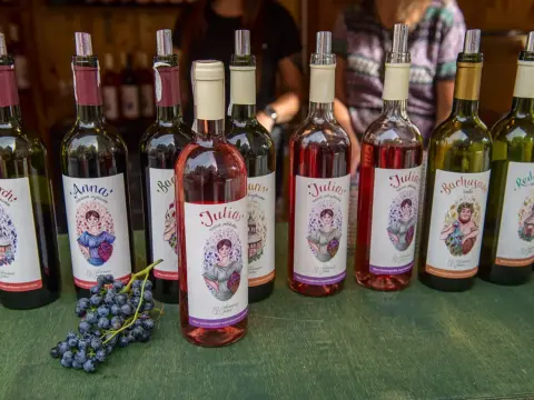 Gdzie kupić wino zielonogórskie? Odkryj najlepsze miejsca w regionie