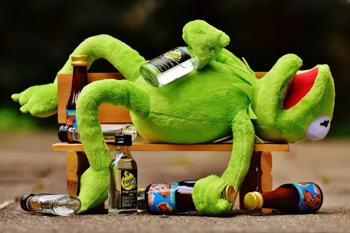 Pluszowy Kermit leży na ławce otoczony buteleczkami. Widać, ile się trzeźwieje po piwie, gdy wokół leżą puste flaszki.
