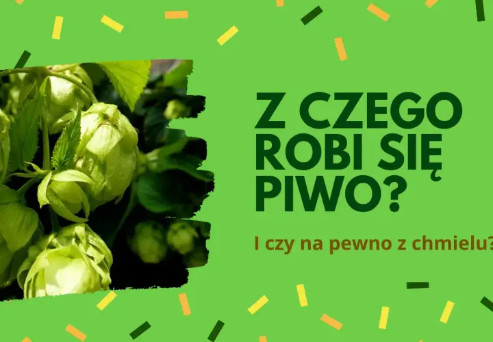 Z czego jest piwo? Odkryj składniki, które kształtują jego smak