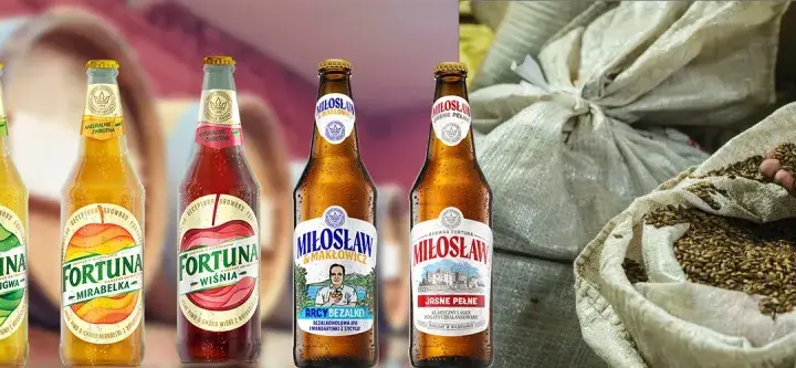 Gdzie kupić piwo Fortuna? Sprawdź najlepsze sklepy w okolicy