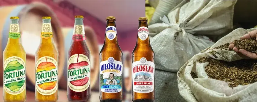 Gdzie kupić piwo Fortuna? Sprawdź najlepsze sklepy w okolicy