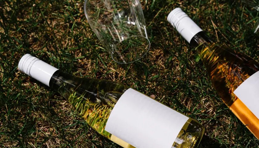 Dwie butelki wina i przewrócony kieliszek na trawie. Czy to wino organiczne, biodynamiczne czy naturalne?