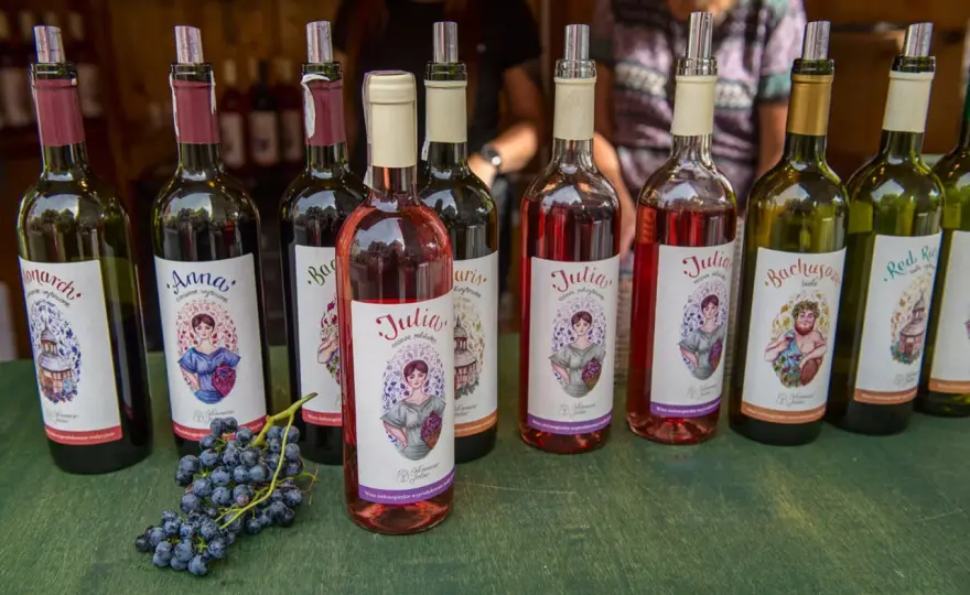 Gdzie kupić wino zielonogórskie? Odkryj najlepsze miejsca w regionie