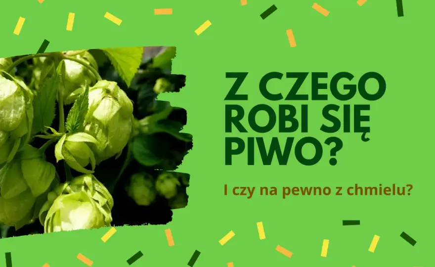Z czego jest piwo? Odkryj składniki, które kształtują jego smak
