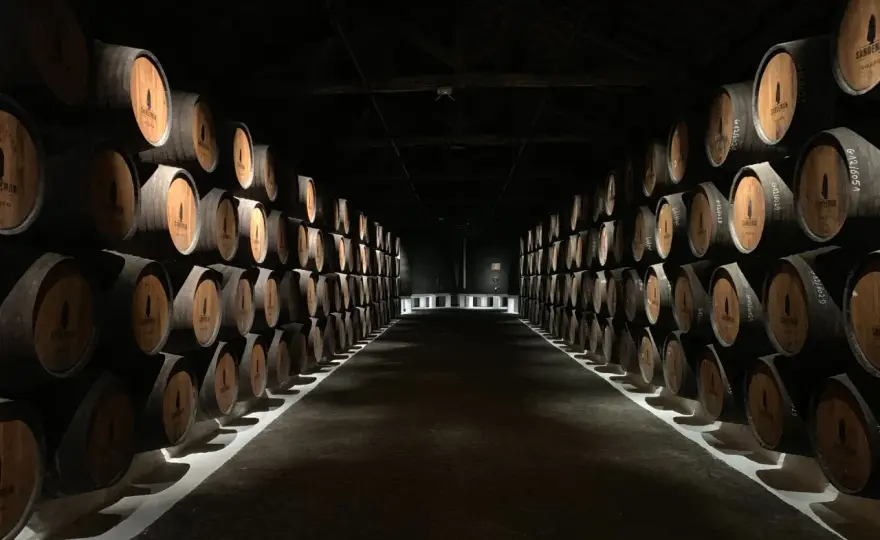 Jak przechowywać whisky, aby nie stracić jej wyjątkowego smaku?