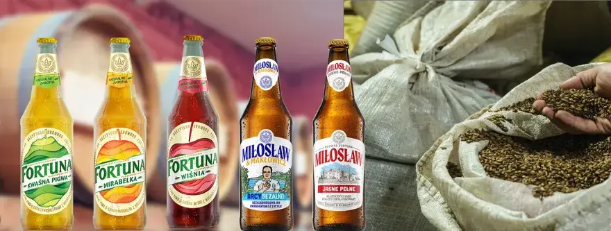Gdzie kupić piwo Fortuna? Sprawdź najlepsze sklepy w okolicy