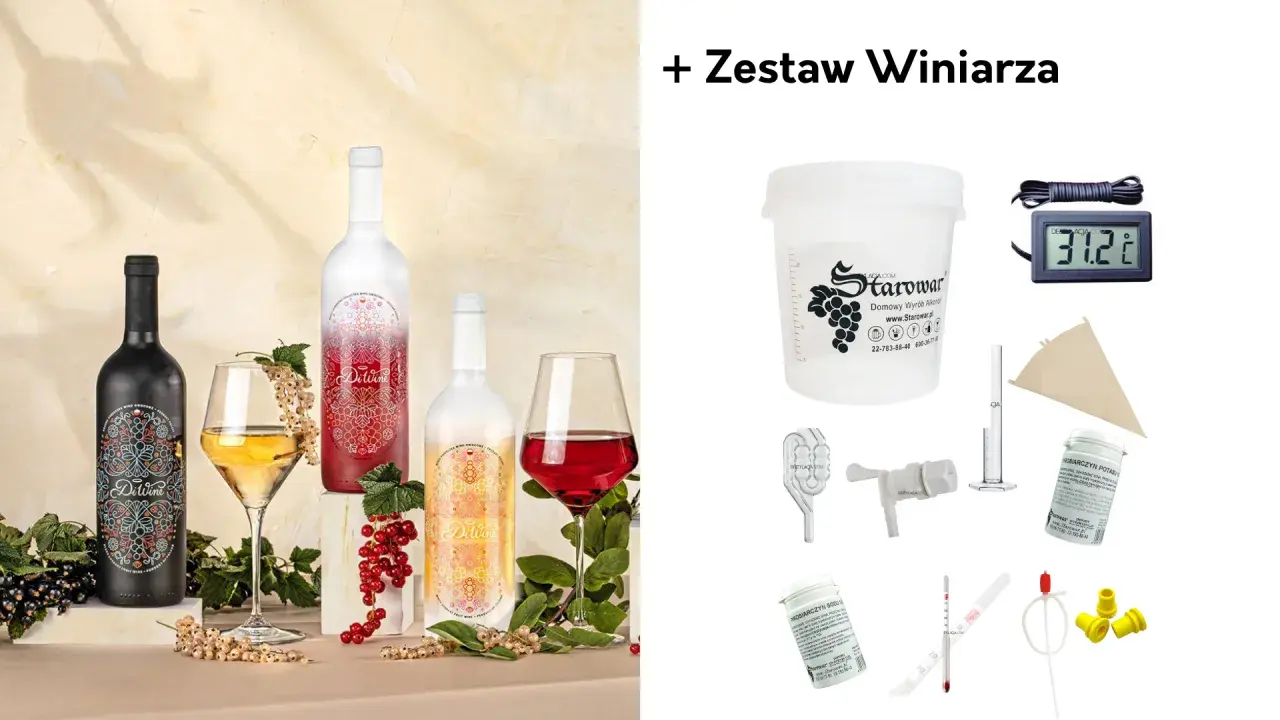 Butelki z winem i kieliszki z owocami, obok zestaw winiarza. Dowiedz się, jakie owoce najlepiej nadają się na domowe wino poza winogronami.