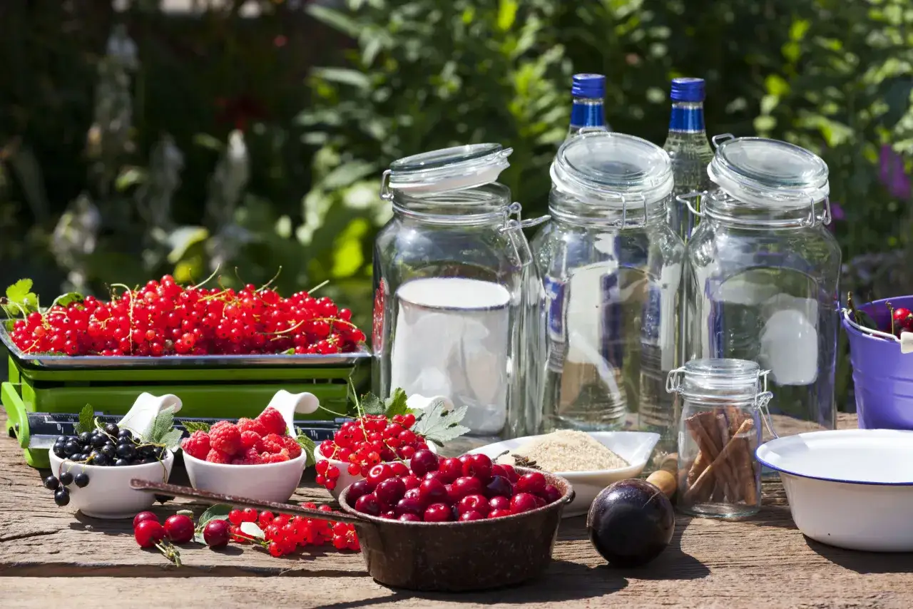 Składniki na domową nalewkę która nie jest zbyt słodka: porzeczki, maliny, wiśnie, cukier, alkohol i przyprawy.