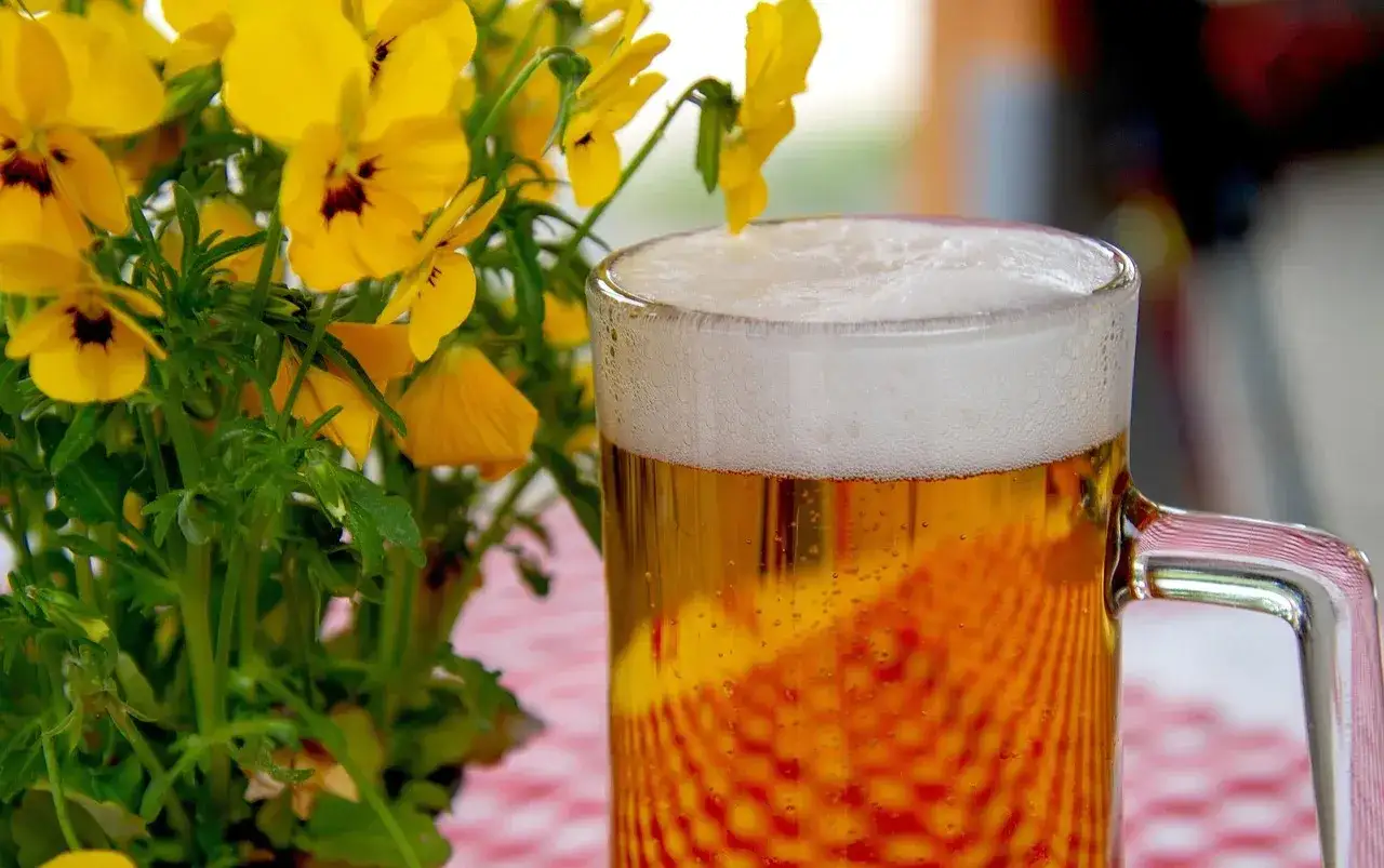Złote piwo z obfitą pianą, obok bukiet żółtych kwiatów. Idealne do podkreślenia aromatów i goryczki, jak najlepsze techniki chmielenia na zimno (dry hopping).