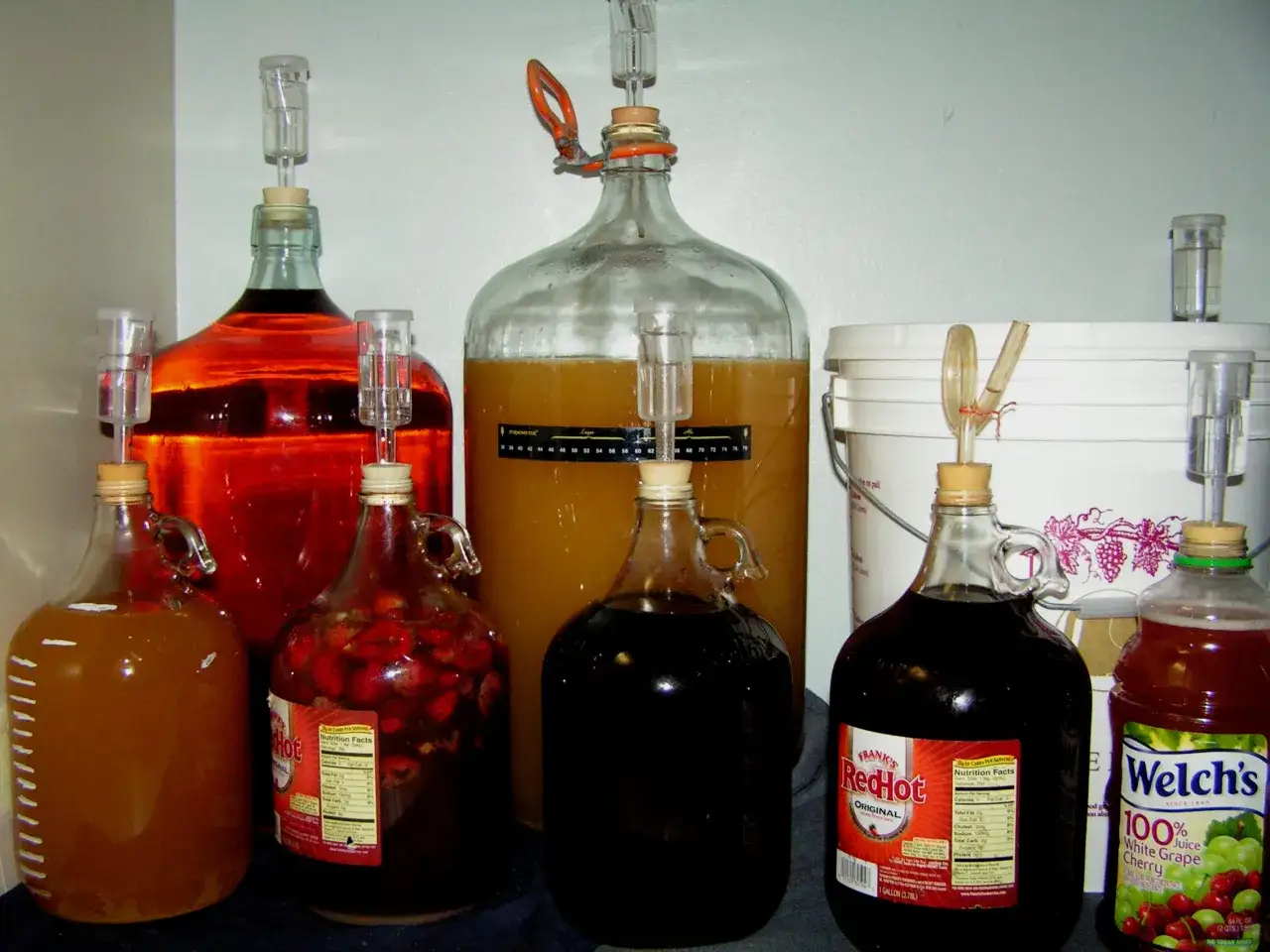 Domowe wino z winogron lub porzeczek: proporcje i drożdże. Fermentacja w balonie z rurką fermentacyjną.